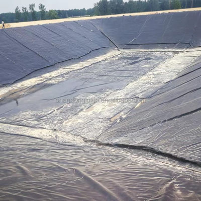 Zuur- en alkaliebestendige geomembraan voor visvijvers Zwart Kleur ASTM GRI-GM13 Standard