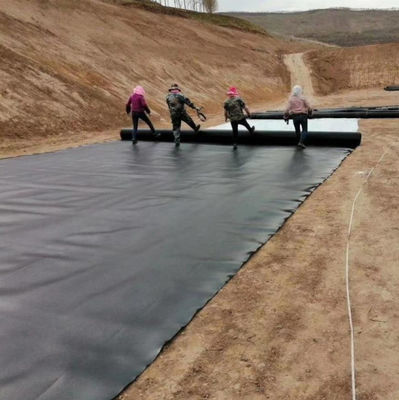 ASTM GRI-GM13 Standaard 1mm 2mm HDPE Geomembrane Fish Pond Liner voor vishouderij