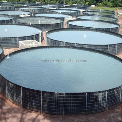Dubbele textuur HDPE geomembraan 1 mm voor waterdichte Plastic Dam Liner Fish Pond Liner