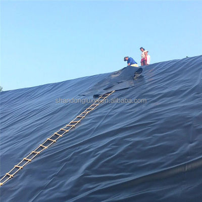 Geomembrane met een textuur van 2 mm voor een waterdicht HDPE-ontwerp