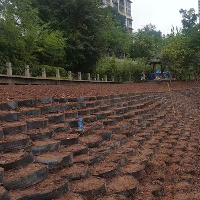 330 mm-1000 mm Lassafstand Geocell Ground Grid Paver voor Honeycomb Gravel Driveway