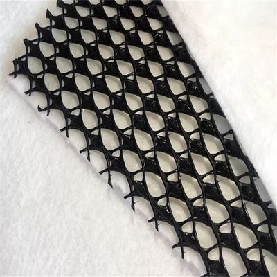 50m/100m/ Lengte 3D Composite Drainage Geonet voor hellingsbescherming Industrial Design Style