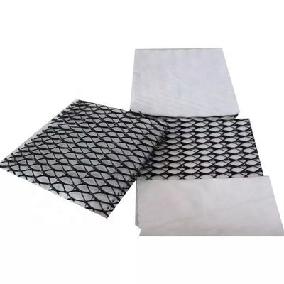 dichtheid Polyethyleen Plastic Certificatie Geocomposite Drainage GEONET voor Aardwerk