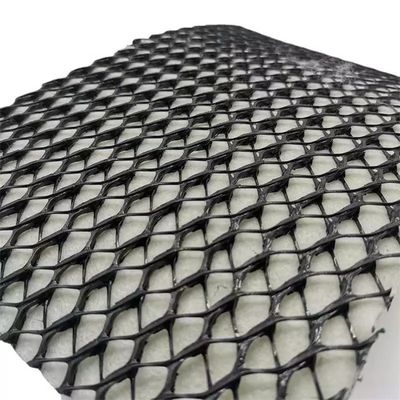 dichtheid Polyethyleen Plastic Certificatie Geocomposite Drainage GEONET voor Aardwerk