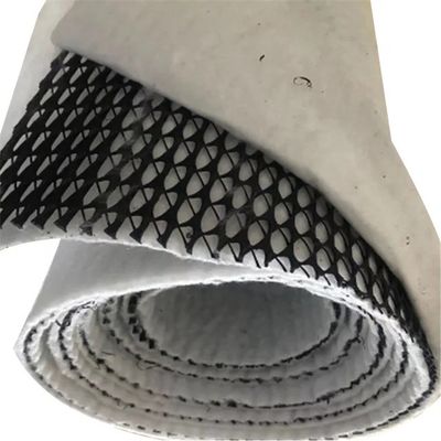 HDPE Mesh 3D Composite Drainage Composite Geo Net Geonet Zwart Wit voor uw behoeften