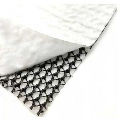 HDPE Mesh 3D Composite Drainage Composite Geo Net Geonet Zwart Wit voor uw behoeften