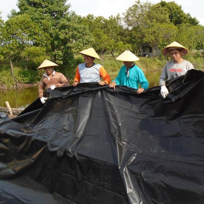 1 mm HDPE-geomembrane-liner voor vissen, garnalen en vijvers