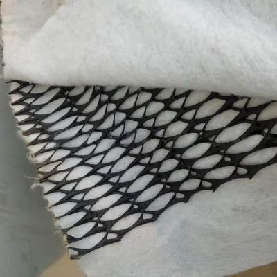 Breedte 2m-4m Geonet Drainage Net voor composiet geotextiel Plastics Project Solutions
