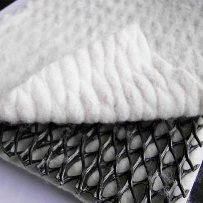 Breedte 2m-4m Geonet Drainage Net voor composiet geotextiel Plastics Project Solutions