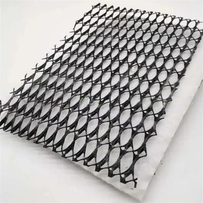 Breedte 2m-4m Geonet Drainage Net voor composiet geotextiel Plastics Project Solutions