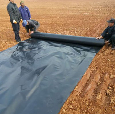 Projectoplossingsmogelijkheden Geomembraan van HDPE voor vishouderij