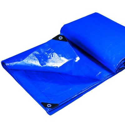 Gecoate PE-traan waterdicht lichtgewicht dakbedekking Blauw polyethyleen traan PE-plaat