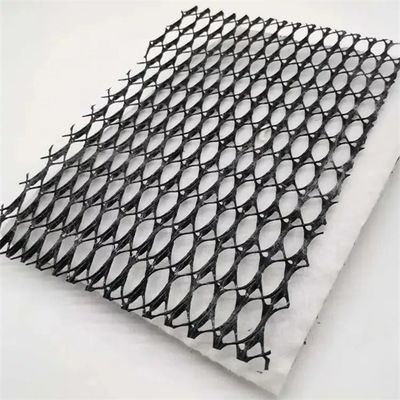 Geocomposite drainage GEONET Composite drainage net met CE/ISO9001/ISO14001 certificering