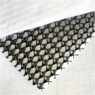 Geocomposite drainage GEONET Composite drainage net met CE/ISO9001/ISO14001 certificering