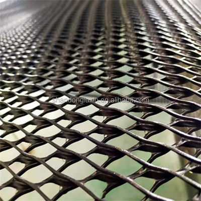 Zwart-wit 3D geocomposit drainage net voor CE/ISO9001/ISO14001 gecertificeerde landschapsarchitectuur