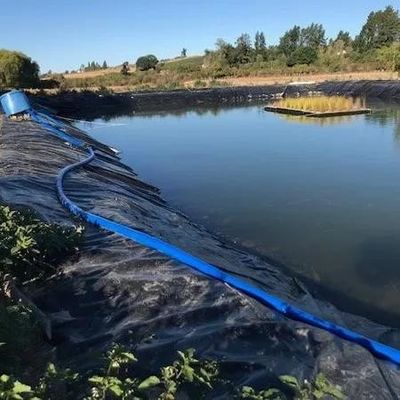 HDPE-geomembraan voor 0,5 mm 1 mm 1,5 mm 2 mm waterdichte dampoel