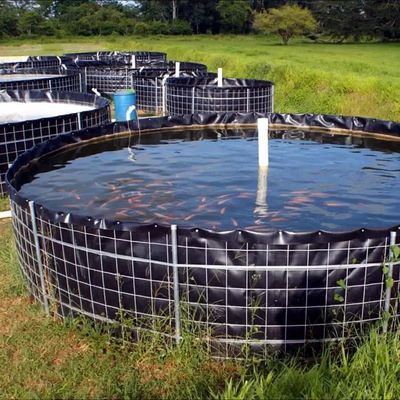 HDPE-geomembraan voor 0,5 mm 1 mm 1,5 mm 2 mm waterdichte dampoel