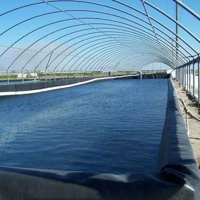 HDPE-geomembraan voor 0,5 mm 1 mm 1,5 mm 2 mm waterdichte dampoel