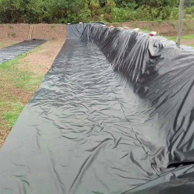 Dubbele gladde HDPE-geomembraanplaat voor waterdichte bekleding van vijvers Breedte 1m-8m