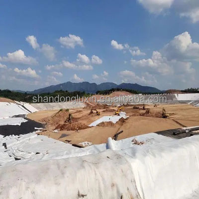 dichtheid Polyethyleen Plastic wegbasis Geonet 3D Composite Drainage Geonet Compound Net Lengte 50m