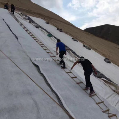 Lange 50m Geocomposite drainage sheet 3d Composite drainage net 3d Geonet voor T/T betaling