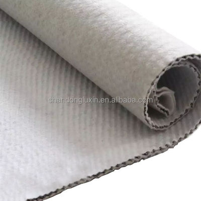 Lange 50m Geocomposite drainage sheet 3d Composite drainage net 3d Geonet voor T/T betaling