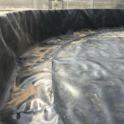 Professionele oplossing vis vijver Liner HDPE waterdicht membraan voor 3D-modelontwerp