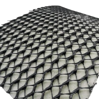 Zwarte en witte 3D geocomposite drainage net weg basis Geonet samengestelde net CE/ISO9001/ISO14001 goedgekeurd