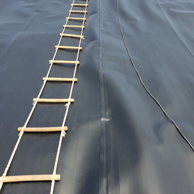ASTM GM13 Standard HDPE Geomembrane Liner 0,3 mm 0,5 mm 0,75 mm 1 mm voor de landelijke markten