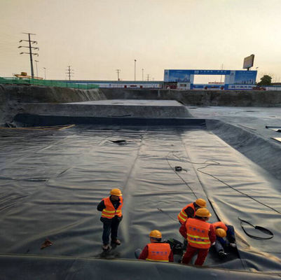 ASTM GM13 Standard HDPE Geomembrane Liner 0,3 mm 0,5 mm 0,75 mm 1 mm voor de landelijke markten