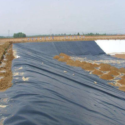 ASTM GM13 Standard HDPE Geomembrane Liner 0,3 mm 0,5 mm 0,75 mm 1 mm voor de landelijke markten