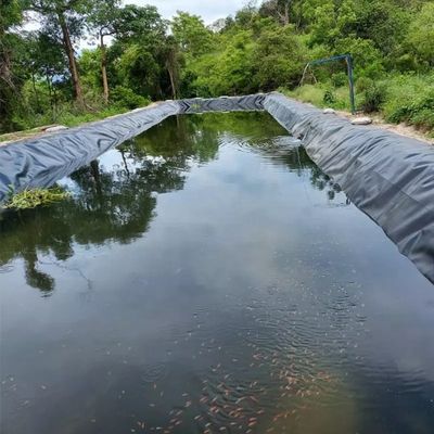 Geomembranen 1 mm 2 mm Waterdicht Tank Dam Lining Zwem zwembad Vissen vijver Boerderij Liner HDPE