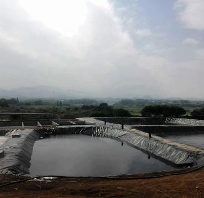 Groen geomembraan voor waterdicht kunstmatig meer tank dam bekleding HDPE op maat
