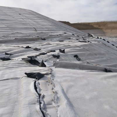 Betaling T/T Geonet voor 3D-compositieve drainage voor drainage in kantoorgebouwen