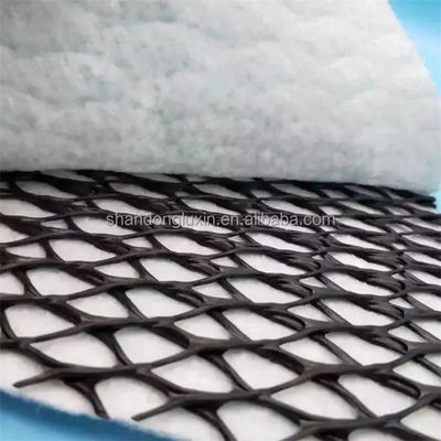 50m/100m Lengte HDPE Mesh 3D Composite Drainage Composite Geo Net in zwart-wit