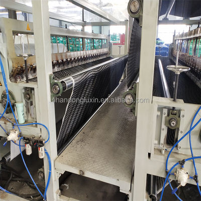 50m/100m Lengte HDPE Mesh 3D Composite Drainage Composite Geo Net in zwart-wit