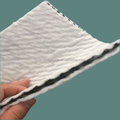 50m/100m Lengte HDPE Mesh 3D Composite Drainage Composite Geo Net in zwart-wit
