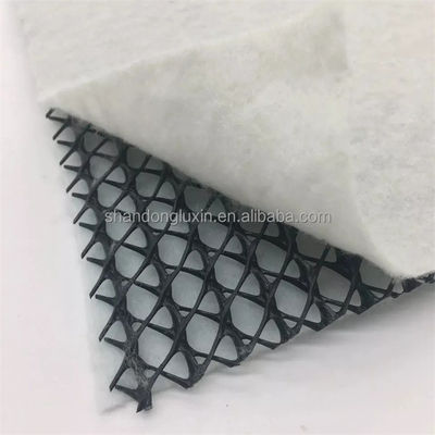 Regenwater Afvoer 3d Plastic Geocomposite Drain Net voor industriële tunnels of dammen