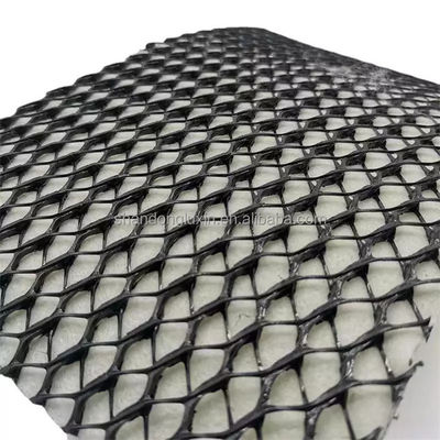 Regenwater Afvoer 3d Plastic Geocomposite Drain Net voor industriële tunnels of dammen