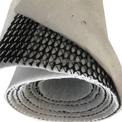 Regenwater Afvoer 3d Plastic Geocomposite Drain Net voor industriële tunnels of dammen
