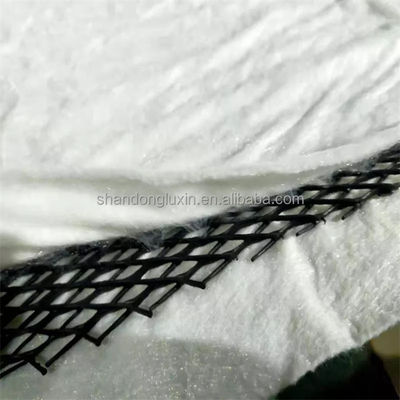 Regenwater Afvoer 3d Plastic Geocomposite Drain Net voor industriële tunnels of dammen
