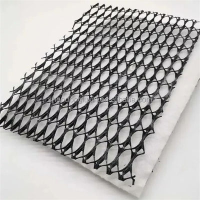 Snel bouwen 3d Plastic Drainage Geocomposite Geonet 8mm X 6mm Met Langvezel Geotextiel