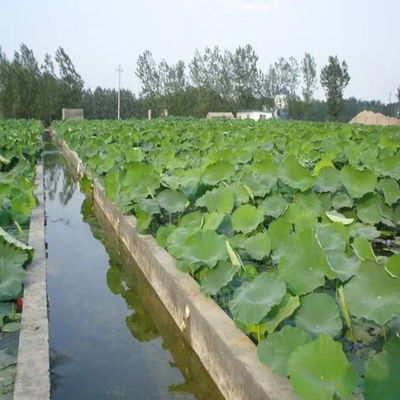 Pvc Geomembrane Plaat 1mm Geomateriaal Plastic Smooth Geomembrane Hdpe Pond Liner