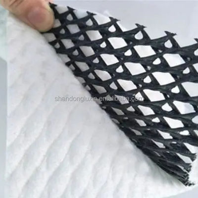 dichtheid Polyethyleen Plastic Geo Net voor Drainage Composite 3D Mesh van Geosynthetics