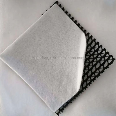dichtheid Polyethyleen Plastic Geo Net voor Drainage Composite 3D Mesh van Geosynthetics