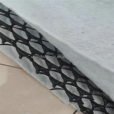 HDPE 3D-zoutbarrière-afvoer Geonet Geocomposite net voor stortplaatsweg Tuinafvoer