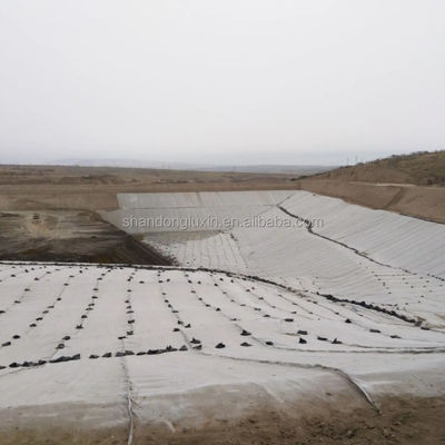 HDPE 3D-zoutbarrière-afvoer Geonet Geocomposite net voor stortplaatsweg Tuinafvoer