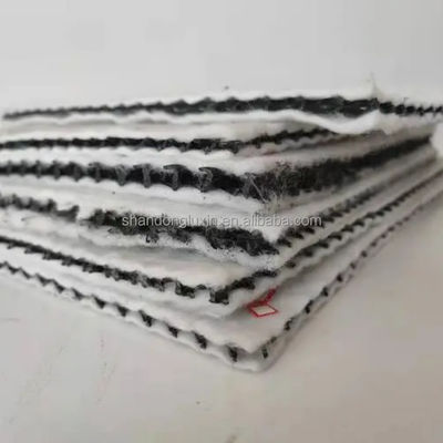 HDPE 3D-zoutbarrière-afvoer Geonet Geocomposite net voor stortplaatsweg Tuinafvoer