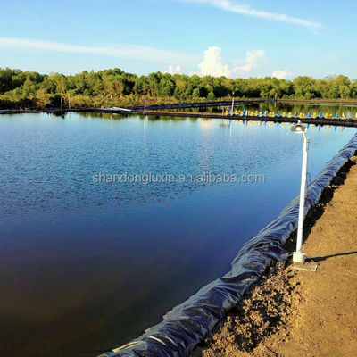 ASTM GRI-GM13 Standaard HDPE-liner voor visvijvers en boerderijtanks