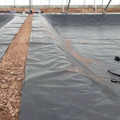 Vissenboerderij Poel Liner HDPE Geomembraan in Zwart Wit Blauw of Groen Lengte 50-200m